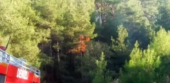 Denizli'de orman yangını çıktı
