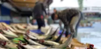 Tezgahlarda palamut bolluğu devam ediyor