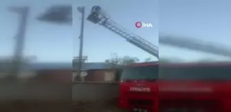 Van haberleri... Özalp'ta 3 gündür elektrik direğinde mahsur kalan kedi kurtarıldı