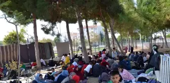 Aydın 3. sayfa haberi... Didim'de 149 düzensiz göçmen yakalandı, 4 organizatör gözaltına alındı
