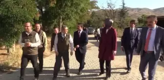 AFYONKARAHİSAR - Vali Yiğitbaşı, tedavisi tamamlanan kızıl şahinleri doğaya saldı
