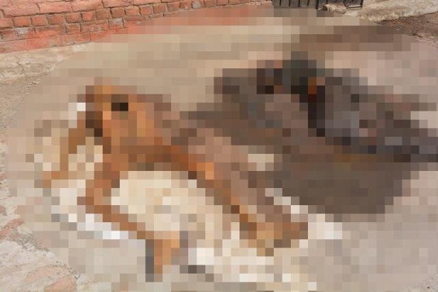 Pakistan'da hastane çatısında korkunç görüntüler! Çürümeye yüz tutmuş cesetler ve insan parçaları bulundu