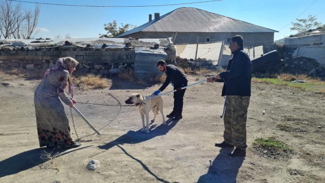 Bitlis'te 2 çocuğu köpek ısırmasının ardından 38 kişide daha kuduz vakası tespit edildi