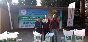 Un fiyatlarının düşmesi için buğday ekilen alanlar artıyor