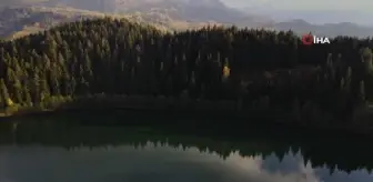 Şavşat Karagöl'de sonbahar manzaraları