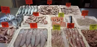 Balık fiyatları yarı yarıya düştü