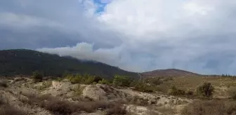 İzmir'de ormanlık alanda çıkan yangın söndürüldü