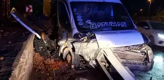 Minibüs duvara çarptı, kiviler yola saçıldı: 1 yaralı