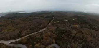 Beykoz Ormanları'ndaki sonbahar renkleri dron ile görüntülendi