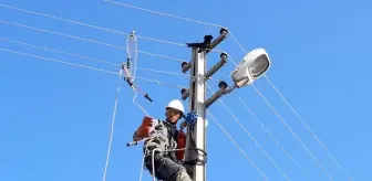 Kırıkkale'de elektrik direğinde mahsur kalan karga kurtarıldı