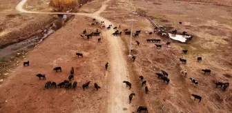 Cumhurbaşkanı açıkladı, ilçe halkı daha fazla üretim için hızlandı