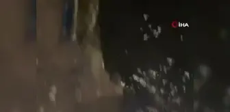 Küçükçekmece Gölü'nde su samurları görüntülendi