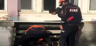 Binanın duvarını yıkıp yavru köpeği kurtardılar