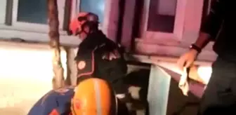 Kanalizasyon çukurundan kurtarılan yavru köpek sayısı 3 oldu