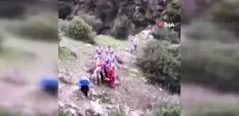 Kekik toplamak için evden çıkan ve kaybolan yaşlı kadının cesedine ulaşıldı
