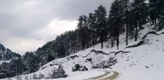 Adana'nın yüksek kesimlerinde kar etkili oluyor