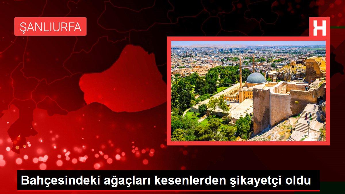 Bahçesindeki ağaçları kesenlerden şikayetçi oldu