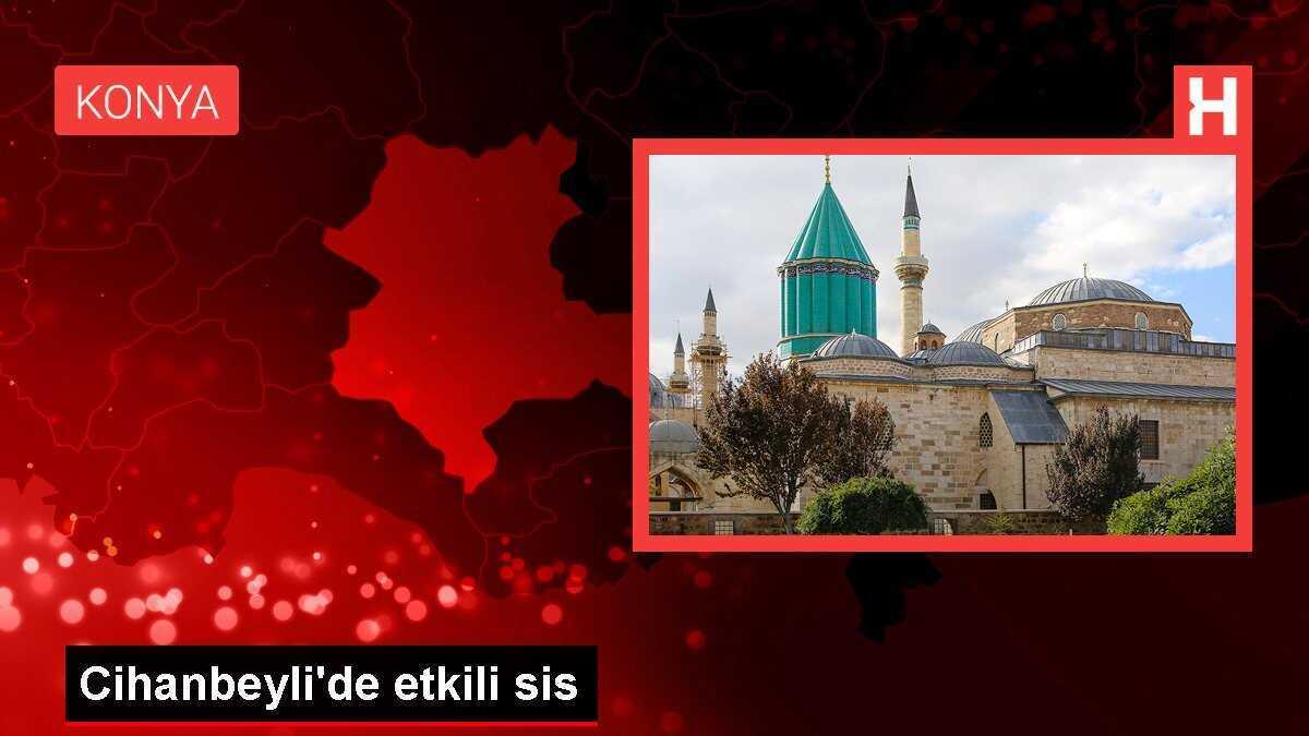 Cihanbeyli'de etkili sis