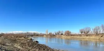 Türkiye'nin en hızlı akan nehirlerinden Karasu'da su seviyesi düştü