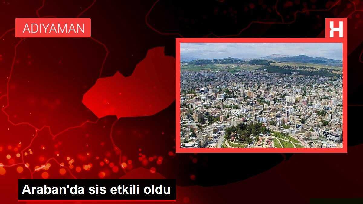 Araban'da sis etkili oldu