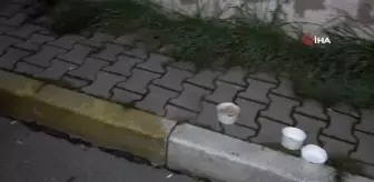 Fakir aylığı ile geçiniyor, mahallenin kedilerini de unutmuyor