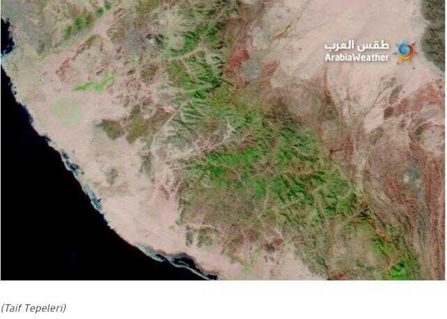 Yağıştan dolayı Mekke ve Medine'nin dağlarının yeşile döndüğü iddiası doğru Yağıştan dolayı Mekke ve Medine'nin dağlarının yeşile döndüğü iddiası doğru