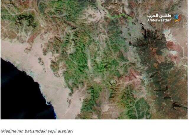 Yağıştan dolayı Mekke ve Medine'nin dağlarının yeşile döndüğü iddiası doğru Yağıştan dolayı Mekke ve Medine'nin dağlarının yeşile döndüğü iddiası doğru