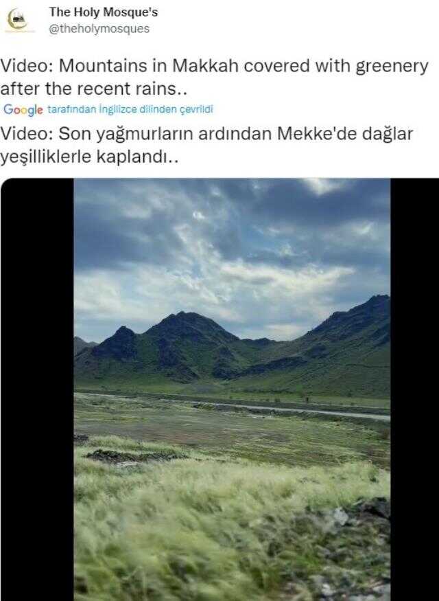 Yağıştan dolayı Mekke ve Medine'nin dağlarının yeşile döndüğü iddiası doğru Yağıştan dolayı Mekke ve Medine'nin dağlarının yeşile döndüğü iddiası doğru