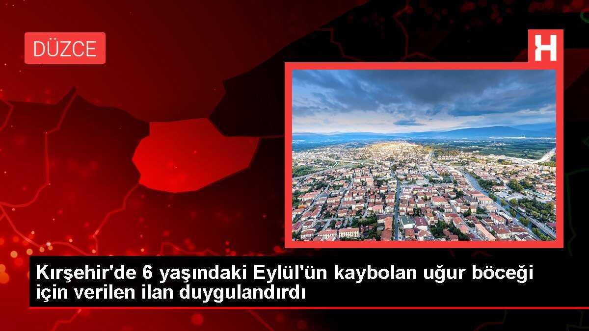 Kırşehir'de 6 yaşındaki Eylül'ün kaybolan uğur böceği için verilen ilan duygulandırdı