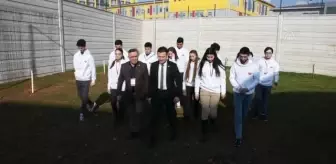 34 Bakü şehidi için fidan dikildi