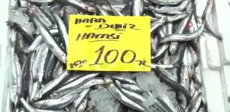 Kış etkisini göstermeyince tezgahlarda balık azaldı