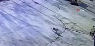Acil servise gelen yaralı kedi kamerada