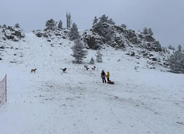 Sokak köpekleri Kartalkaya'da kayak yapan turistlere saldırdı! Önce bariyere sonra araca çarptılar