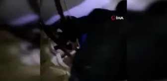 Lamia bebek, umutları yeşertti.. Yıkılan binadan yaklaşık 50 saat sonra kurtarıldı