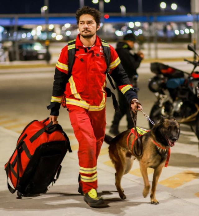 Meksika, 16 kahraman arama-kurtarma köpeğini Türkiye'ye gönderiyor