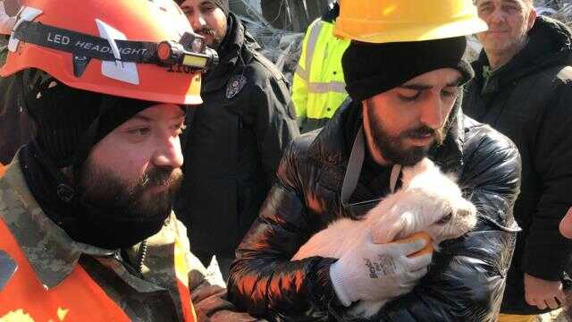 Enkaz altındaki kadın, köpeğinin havlaması sayesinde depremden 103 saat sonra kurtarıldı Enkaz altındaki kadın, köpeğinin havlaması sayesinde depremden 103 saat sonra kurtarıldı
