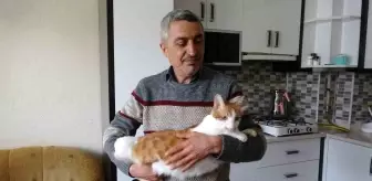 Rüyasına girdi, depremde mahsur kalan kedisini canı pahasına kurtardı