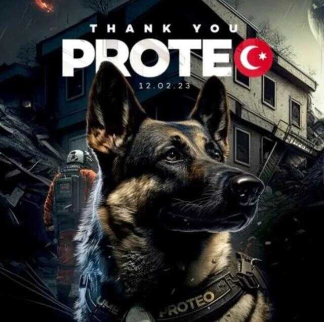 Meksika'nın arama kurtarma köpeği Proteo'nun enkaz altında kalarak öldüğü iddiası yanlış