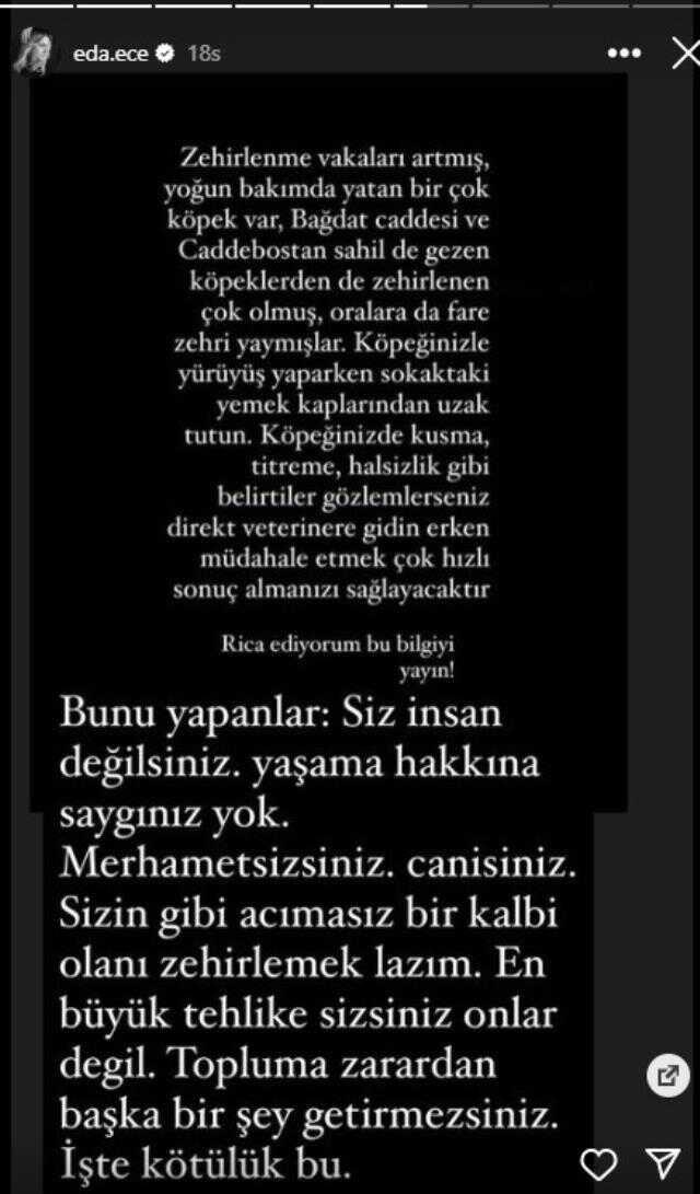 Oyuncu Gözde Kaya 'Kedi ve köpekler için fare zehri konmuş' dedi Eda Ece çileden çıkıt: Bunu yapanlar insan değil