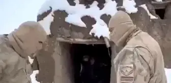 Van'da 86 düzensiz göçmen yakalandı