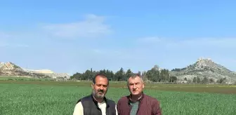 Ceyhan'da toprak yağmurla buluştu, çiftçinin yüzü güldü
