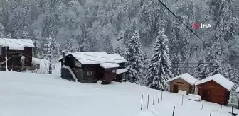 Kar yağışı Rize'nin yüksek kesimlerinde etkili oldu