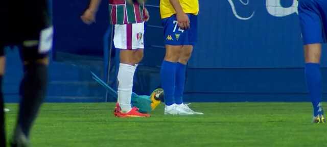 Ne köpek ne kedi! Sahaya giren hayvan futbol maçını felç etti Ne köpek ne kedi! Sahaya giren hayvan futbol maçını felç etti
