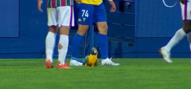 Ne köpek ne kedi! Sahaya giren hayvan futbol maçını felç etti Ne köpek ne kedi! Sahaya giren hayvan futbol maçını felç etti