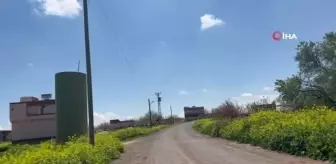 Kayıp olan iş adamının cansız bedeni kuyuda bulundu