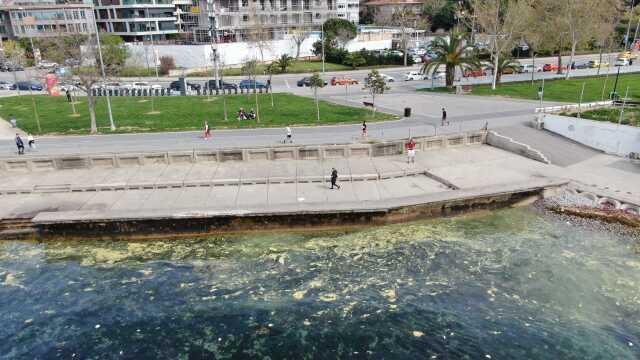 Müsilaj kabusu geri mi döndü? Marmara'da çekilen görüntü endişe yarattı