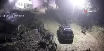 Yiyecek aramak için mahalleye inen ayı kamerada