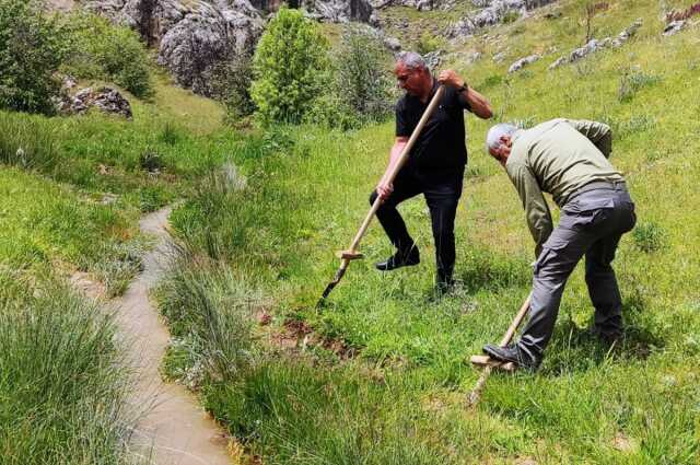 Koruma altında olan salep soğanı toplayan 6 kişiye 1 milyon 464 bin lira ceza kesildi Koruma altında olan salep soğanı toplayan 6 kişiye 1 milyon 464 bin lira ceza kesildi