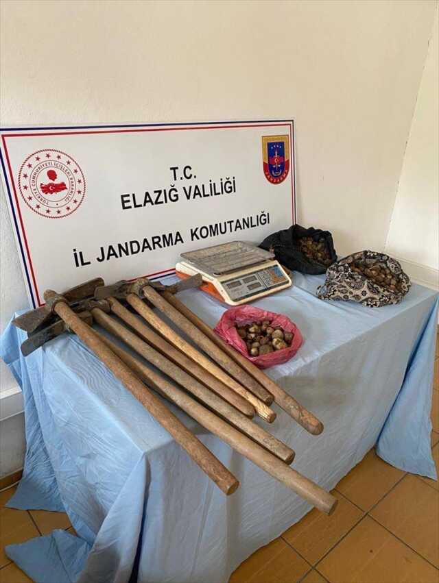 Koruma altında olan salep soğanı toplayan 6 kişiye 1 milyon 464 bin lira ceza kesildi Koruma altında olan salep soğanı toplayan 6 kişiye 1 milyon 464 bin lira ceza kesildi