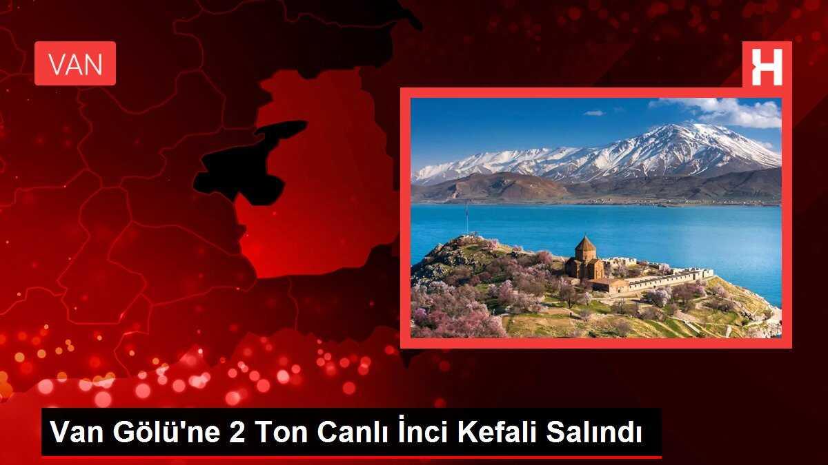 2 Ton Canlı İnci Kefali Van Gölü'ne Salındı